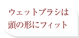 ウェットブラシは頭の形にフィット
